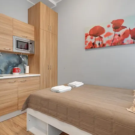 Host Patio 民宿 索波特